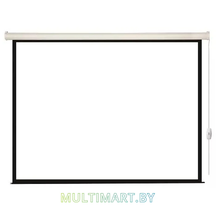 Проекционный экран Lumien Eco Control 244x244 (LEC-100104)